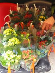 bloemen.JPG